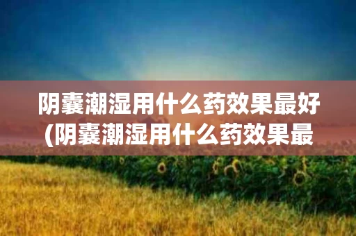 阴囊潮湿用什么药效果最好(阴囊潮湿用什么药效果最好阴囊老出汗)