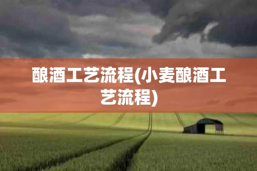 酿酒工艺流程(小麦酿酒工艺流程)