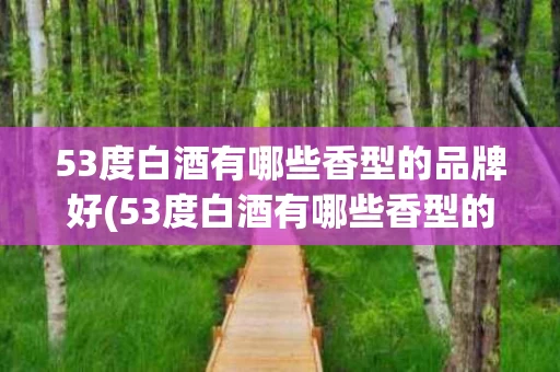 53度白酒有哪些香型的品牌好(53度白酒有哪些香型的品牌好呢)