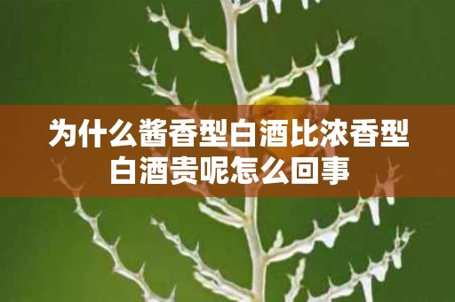 为什么酱香型白酒比浓香型白酒贵呢怎么回事