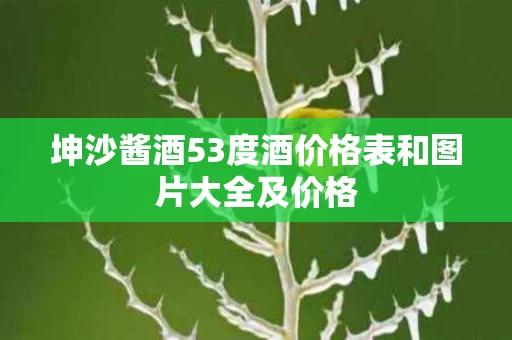 坤沙酱酒53度酒价格表和图片大全及价格