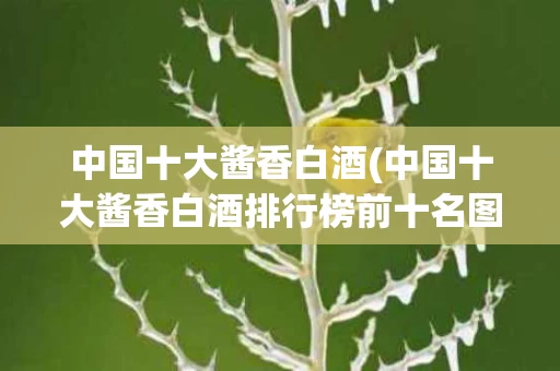 中国十大酱香白酒(中国十大酱香白酒排行榜前十名图片)