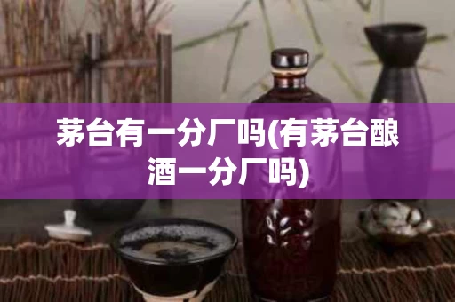 茅台有一分厂吗(有茅台酿酒一分厂吗)
