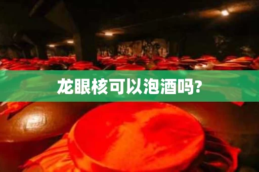 龙眼核可以泡酒吗?