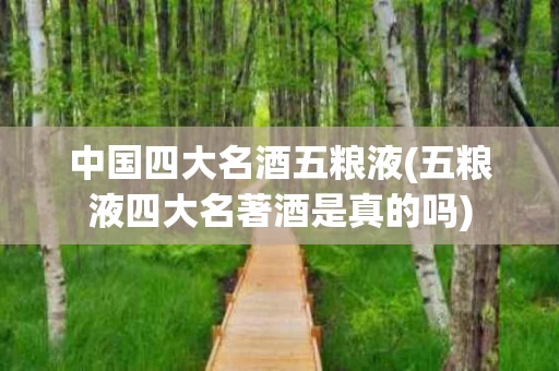 中国四大名酒五粮液(五粮液四大名著酒是真的吗)