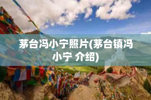 茅台冯小宁照片(茅台镇冯小宁 介绍)