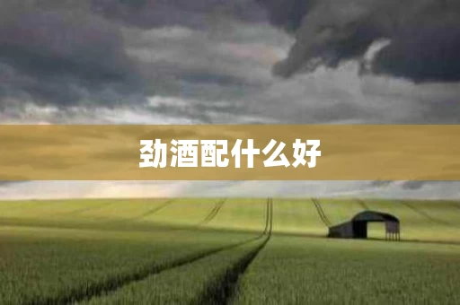 劲酒配什么好
