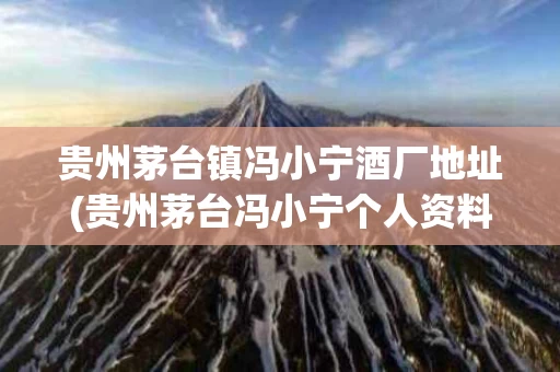 贵州茅台镇冯小宁酒厂地址(贵州茅台冯小宁个人资料)