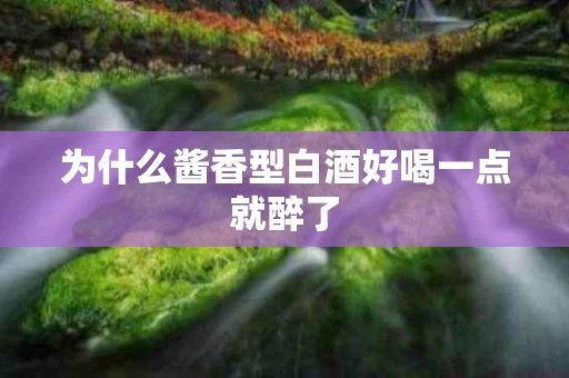 为什么酱香型白酒好喝一点就醉了