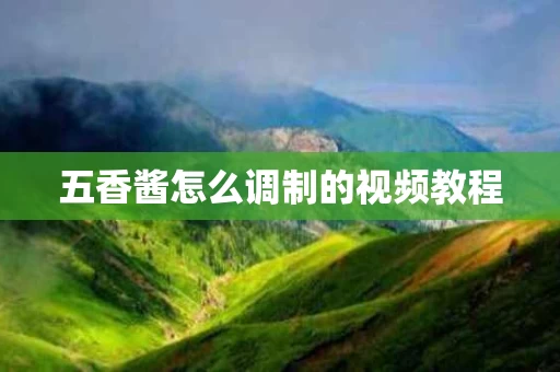 五香酱怎么调制的视频教程