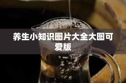养生小知识图片大全大图可爱版
