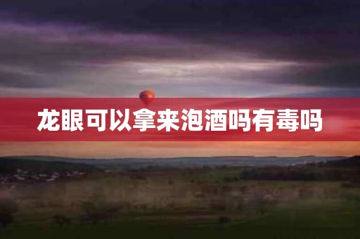 龙眼可以拿来泡酒吗有毒吗