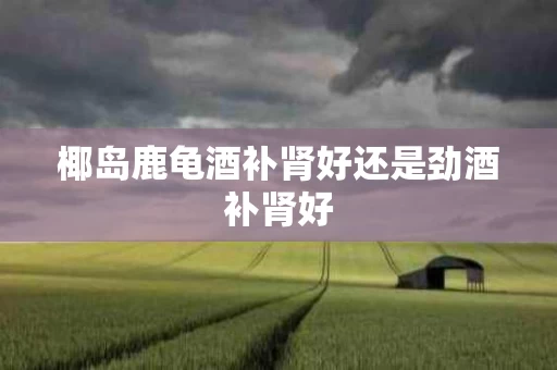 椰岛鹿龟酒补肾好还是劲酒补肾好