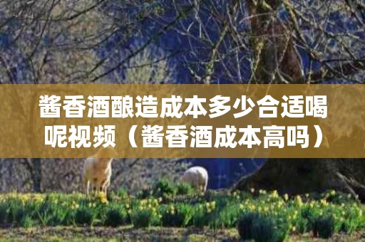 酱香酒酿造成本多少合适喝呢视频（酱香酒成本高吗）