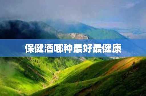 保健酒哪种最好最健康
