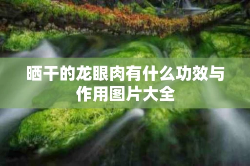 晒干的龙眼肉有什么功效与作用图片大全