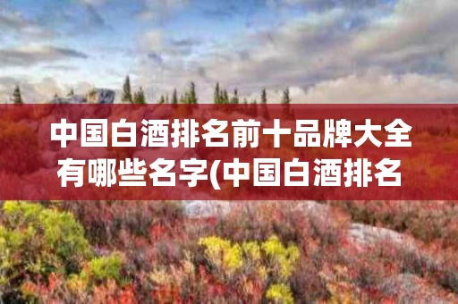 中国白酒排名前十品牌大全有哪些名字(中国白酒排名前十品牌大全有哪些名字及图片)