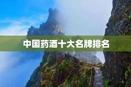 中国药酒十大名牌排名