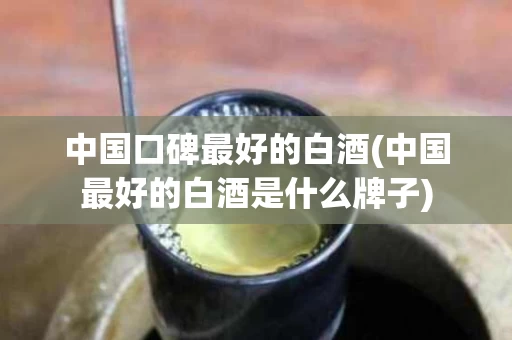 中国口碑最好的白酒(中国最好的白酒是什么牌子)