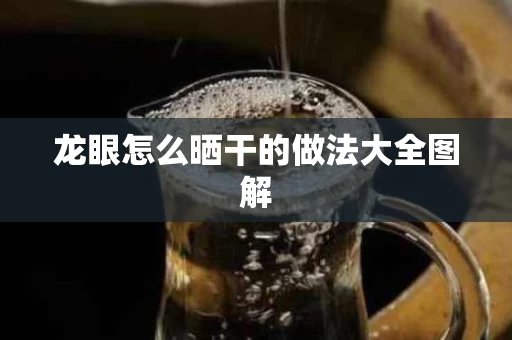 龙眼怎么晒干的做法大全图解