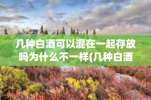 几种白酒可以混在一起存放吗为什么不一样(几种白酒可以混在一起存放吗为什么不一样呢)