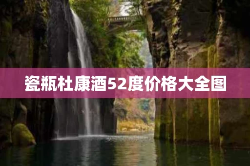 瓷瓶杜康酒52度价格大全图