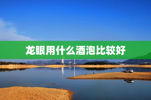 龙眼用什么酒泡比较好