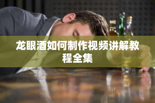 龙眼酒如何制作视频讲解教程全集