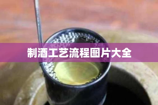 制酒工艺流程图片大全