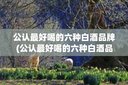 公认最好喝的六种白酒品牌(公认最好喝的六种白酒品牌有哪些)