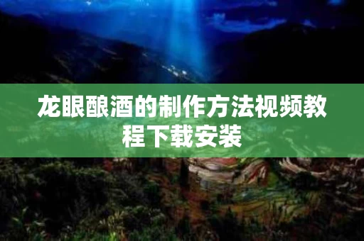 龙眼酿酒的制作方法视频教程下载安装