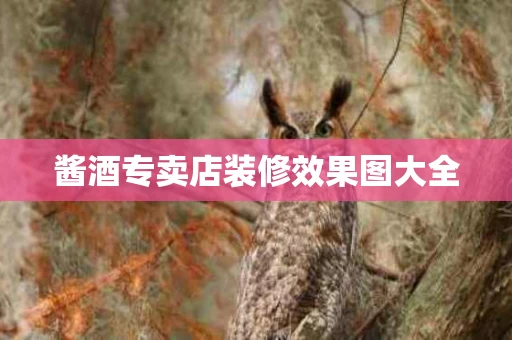 酱酒专卖店装修效果图大全