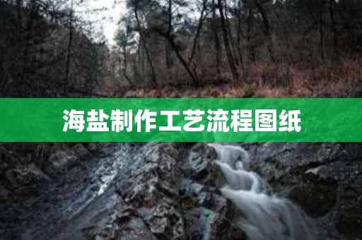 海盐制作工艺流程图纸