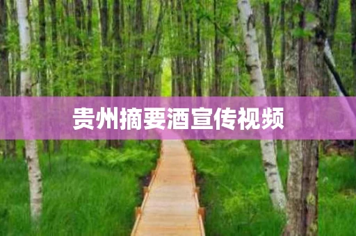 贵州摘要酒宣传视频