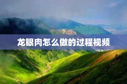 龙眼肉怎么做的过程视频