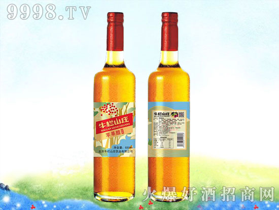 6款苹果酒，要试试吗