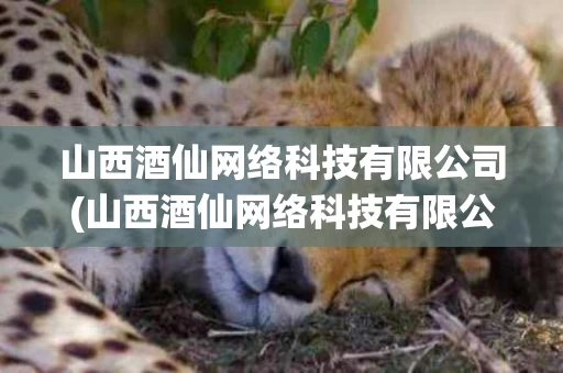 山西酒仙网络科技有限公司(山西酒仙网络科技有限公司怎么样)