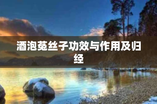 酒泡菟丝子功效与作用及归经 酒泡菟丝子功效与作用及归经