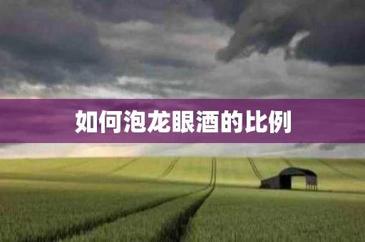 如何泡龙眼酒的比例