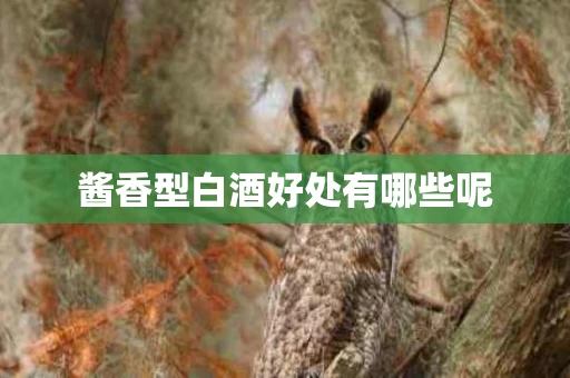 酱香型白酒好处有哪些呢
