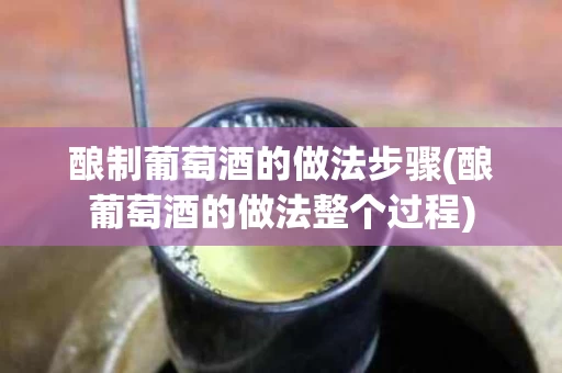 酿制葡萄酒的做法步骤(酿葡萄酒的做法整个过程)