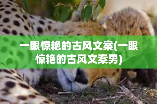 一眼惊艳的古风文案(一眼惊艳的古风文案男)