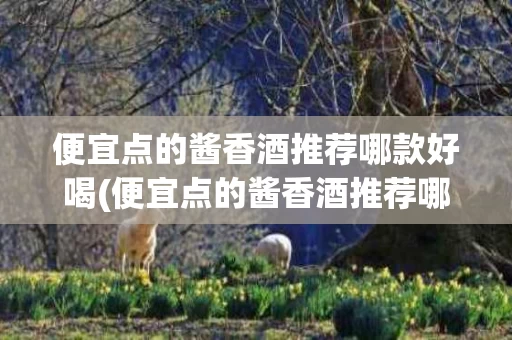 便宜点的酱香酒推荐哪款好喝(便宜点的酱香酒推荐哪款好喝一点)