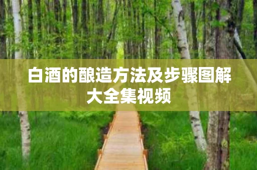 白酒的酿造方法及步骤图解大全集视频