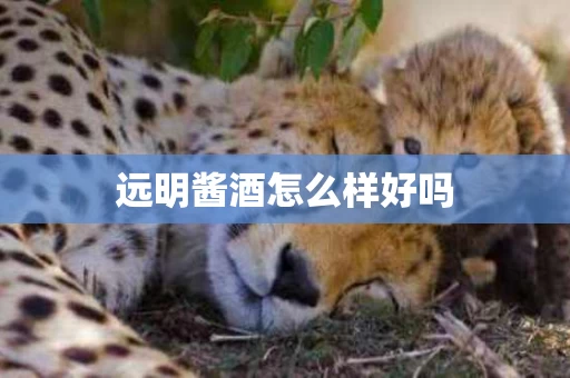 远明酱酒怎么样好吗