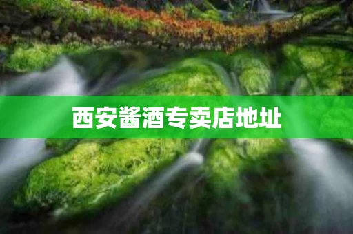 西安酱酒专卖店地址
