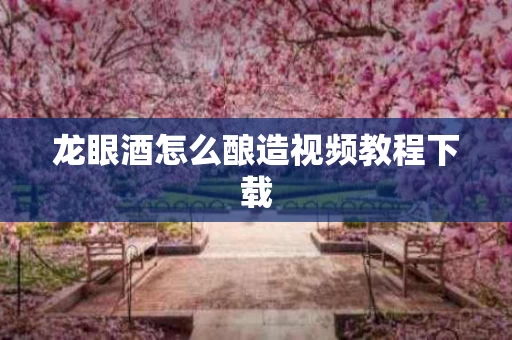 龙眼酒怎么酿造视频教程下载