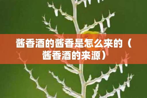 酱香酒的酱香是怎么来的（酱香酒的来源）