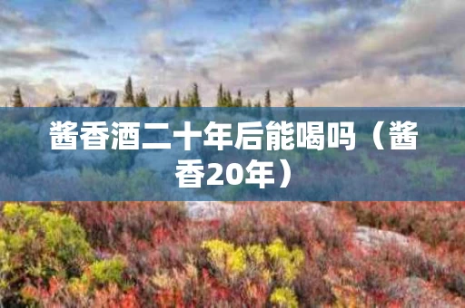 酱香酒二十年后能喝吗（酱香20年）