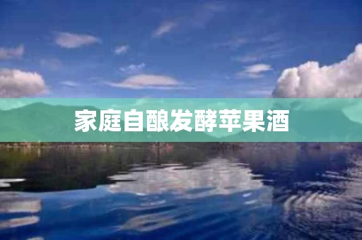 家庭自酿发酵苹果酒